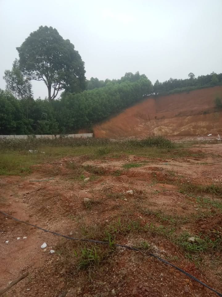 Đất nền 8000m² tại phường Văn Phú, Lào Cai - Cơ hội đầu tư tuyệt vời!