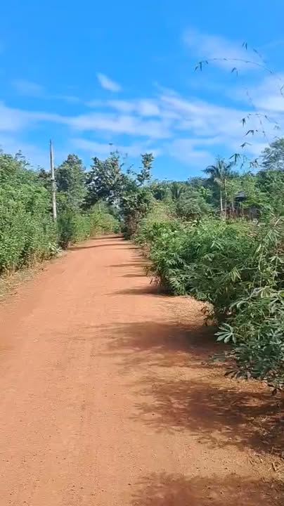 Đất nền Tân Quan, Hớn Quản 30m² giá 600 triệu - Cơ hội đầu tư hiếm có!