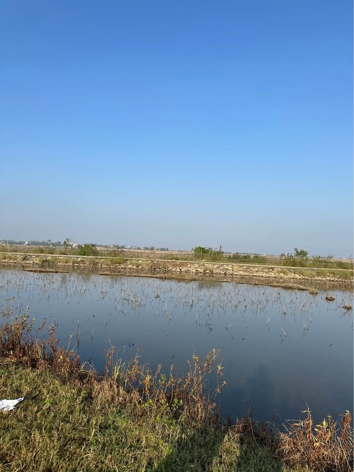 Đất nền KQH Bạc Miếu, An Truyền 136,5m² giá 1,1 tỷ - Cơ hội đầu tư hấp dẫn!