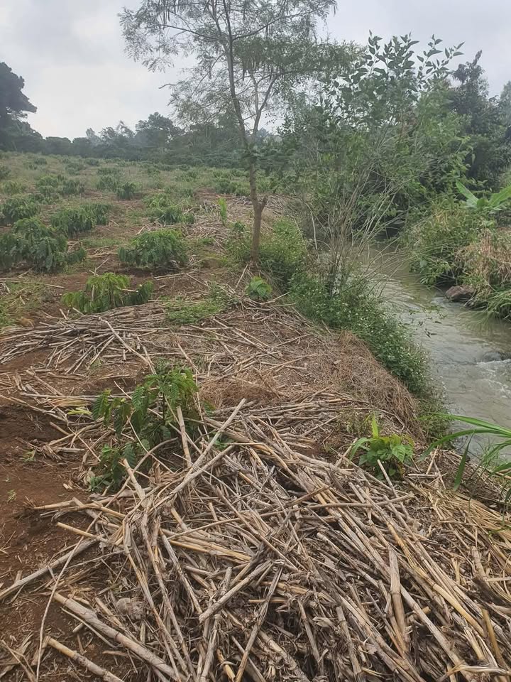 Đất N'Thol Hạ 1.080m² giá thỏa thuận - Đầu tư hấp dẫn cho tương lai!