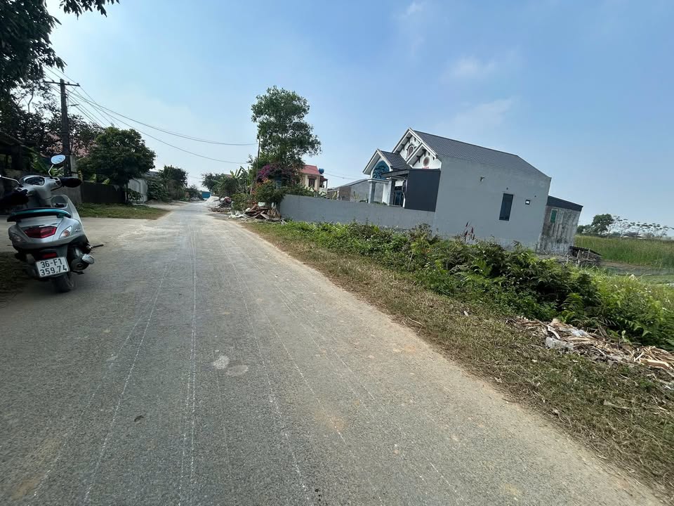 Đất nền hướng Nam tại xã Tuy Lộc, huyện Hậu Lộc, 196m² - Giá đầu tư tốt!