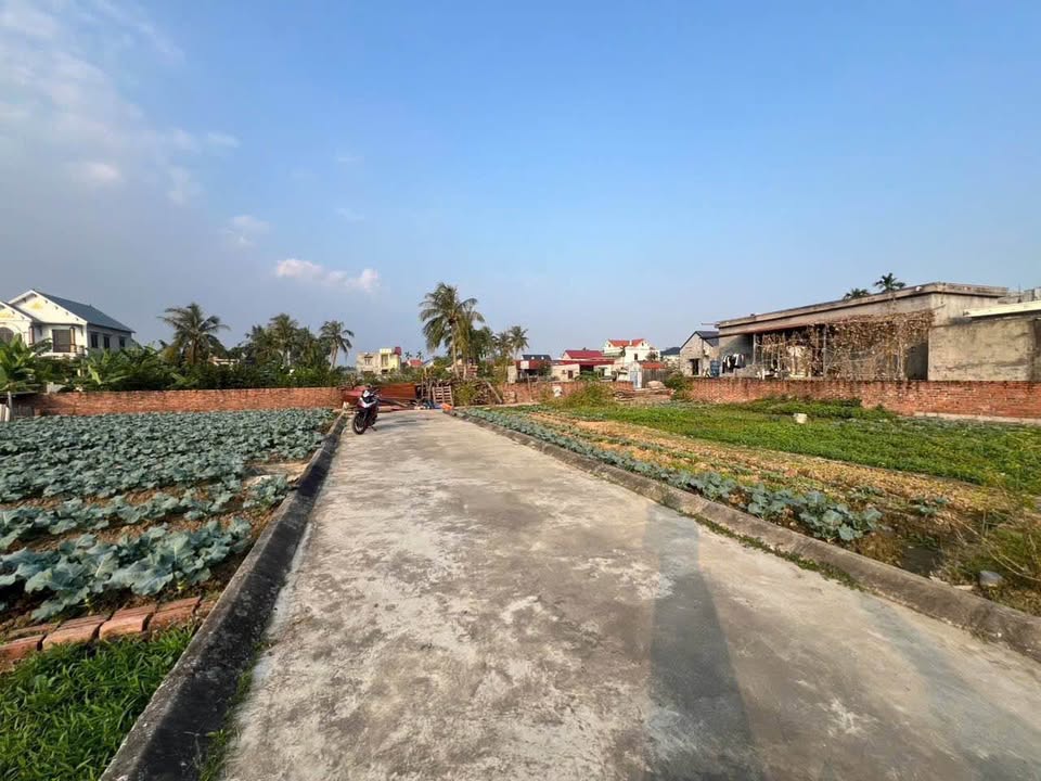 Đất nền Kim Châm, An Lão 62m² chỉ 560 triệu - Cơ hội đầu tư tuyệt vời!