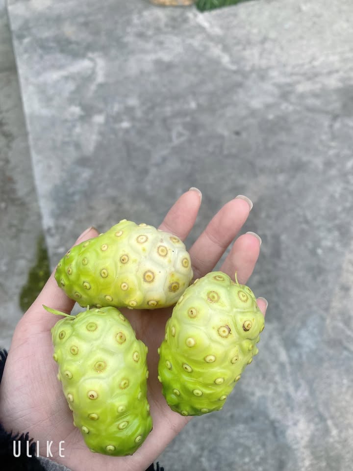 Nhà 2 tầng Phường Cao Xanh 80m² giá 2 tỷ - Đầu tư sinh lời ngay!