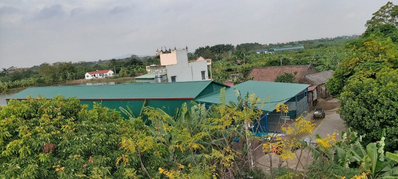 Cho thuê nhà xưởng tại xã Đông Cứu, Bắc Ninh - Diện tích 490m², giá thỏa thuận
