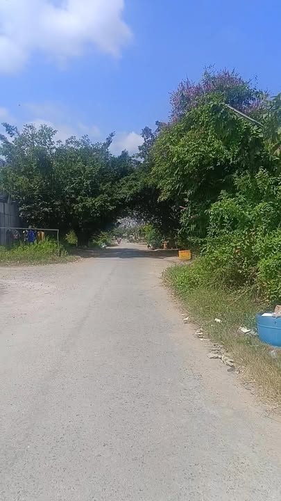 FrontHouse Đường số 3, Thới Lai, Cần Thơ 91m² giá 1.3 tỷ - Kinh doanh thuận lợi!