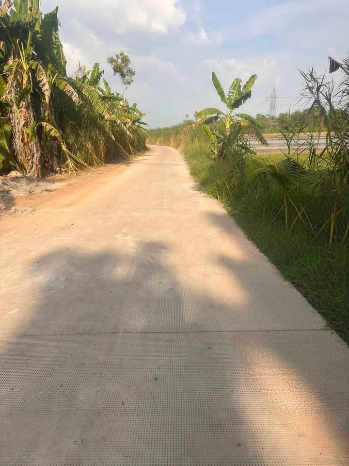 Đất nền KCN Trà Nóc 1989m² giá 3.25 tỷ - Cơ hội đầu tư hấp dẫn!