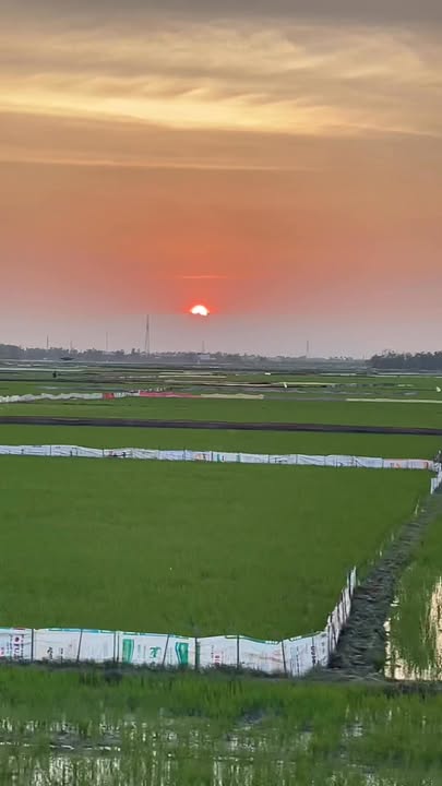 Đất vườn 1800m² tại Thôn Quý Mỹ, Bình Quý, chỉ 1 tỷ - Cơ hội đầu tư tuyệt vời!