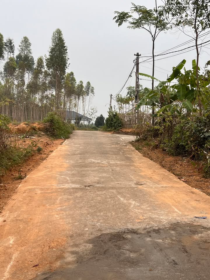 Đất nền Xã Thanh Đình, Thành phố Việt Trì 100m² giá 795 triệu - Cơ hội đầu tư vàng!