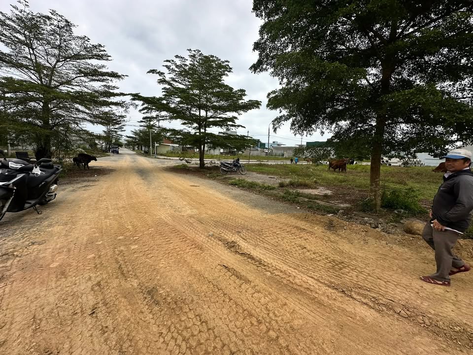 Đất nền Phú An Khang, Quảng Ngãi 100m² giá 1.15 tỷ - Đối diện biển Dung Quất!