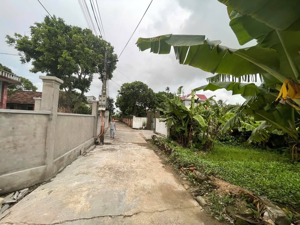 Đất nền xã Quỳnh Thọ, huyện Quỳnh Phụ, Thái Bình 184m² - Đầu tư sinh lời ngay!