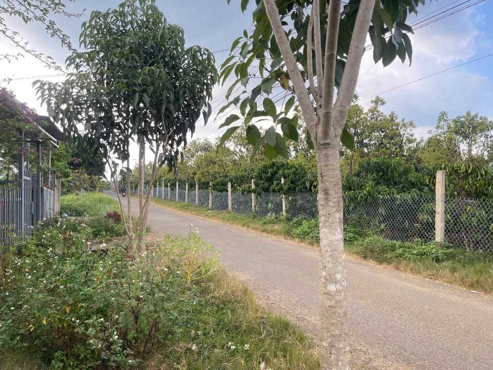 Đất thổ cư Lộc An Bảo Lâm 700m² giá 2.1 tỷ - Đầu tư tiềm năng ngay khu dân cư!