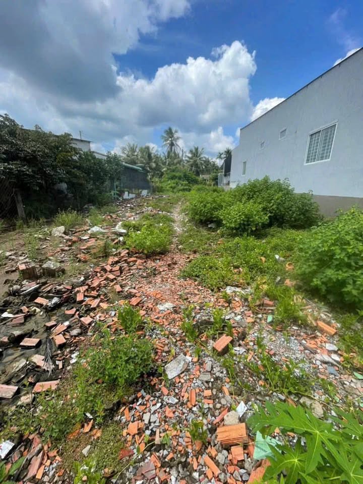 Đất nền Bình Trưng, Châu Thành, Tiền Giang 918m² giá 1.3 tỷ - Mặt tiền lộ nhựa thông thoáng!