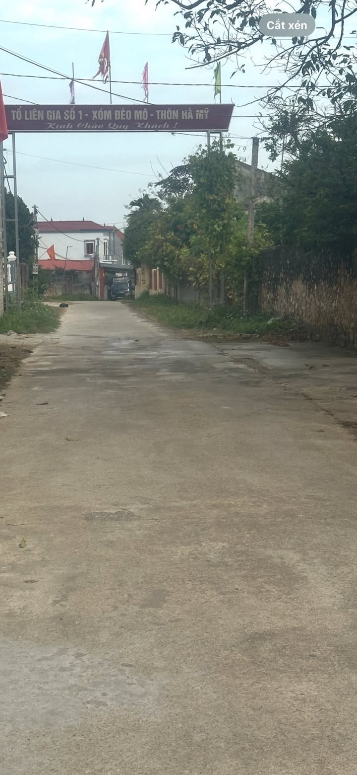 Đất thổ cư thôn Hà Mỹ, Lục Nam 100m² giá 700 triệu - Cơ hội đầu tư hấp dẫn!