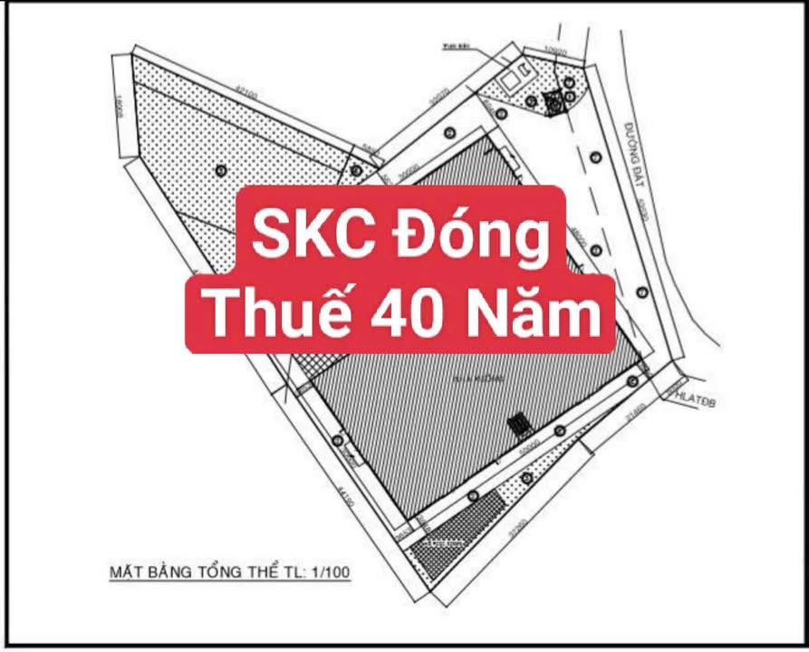 Bán kho xưởng tại Cụm CN Đường 40 Năm, Tân Uyên, Bình Dương - Diện tích 4845m² - Giá thỏa thuận!
