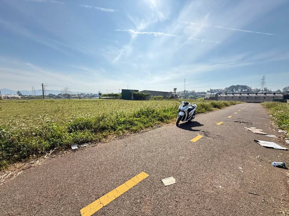 Đất nền xóm Trung, Phú Hội, 150m² giá 1.25 tỷ - Cơ hội đầu tư tuyệt vời!