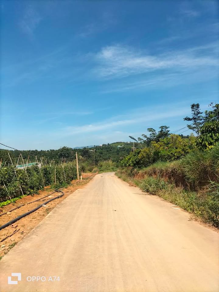 Đất nền Xã Nam Hà 1000m² giá 2 tỷ - Đầu tư sinh lời hấp dẫn!