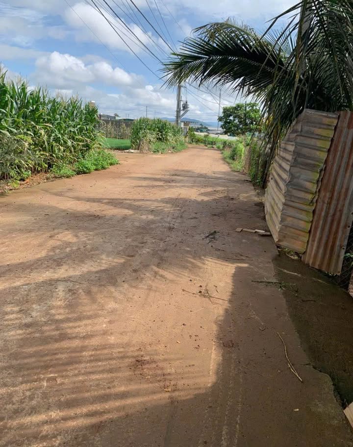 Đất nền Phú Hội 125m² giá 1.07 tỷ - Mặt tiền đường lớn, tiện lợi di chuyển!