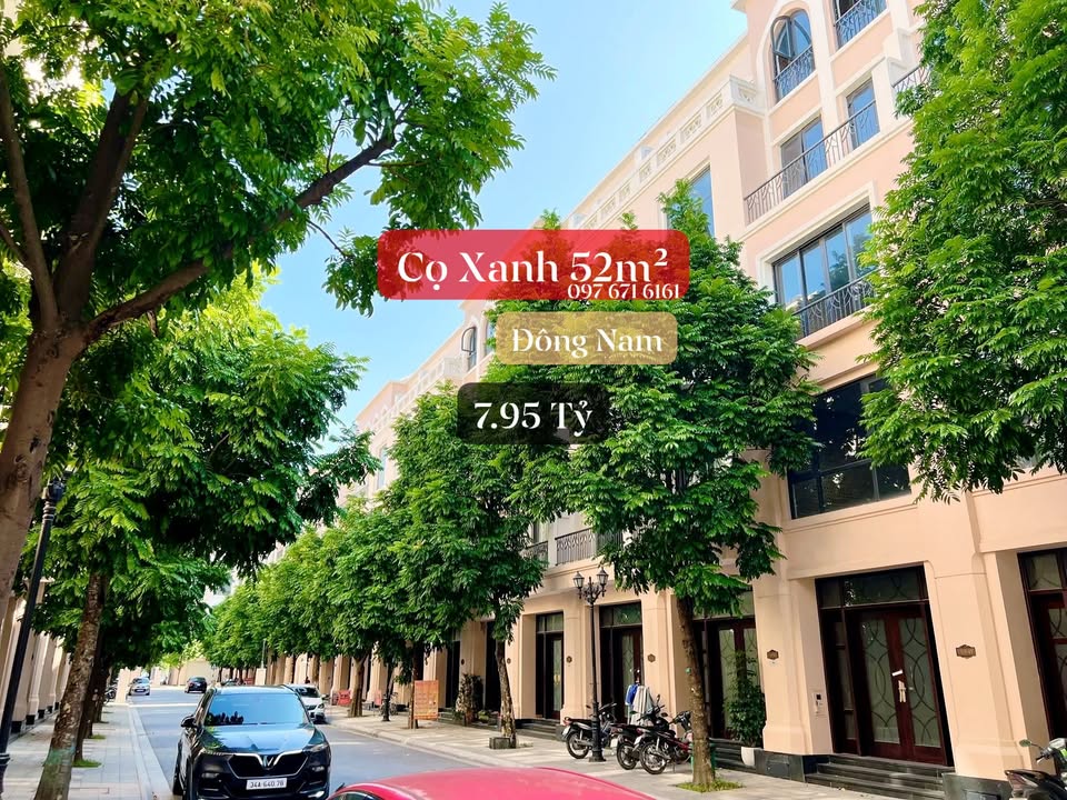 Townhouse Vinhomes Ocean Park 52m² giá 7.95 tỷ - Hướng Đông Nam thoáng mát!