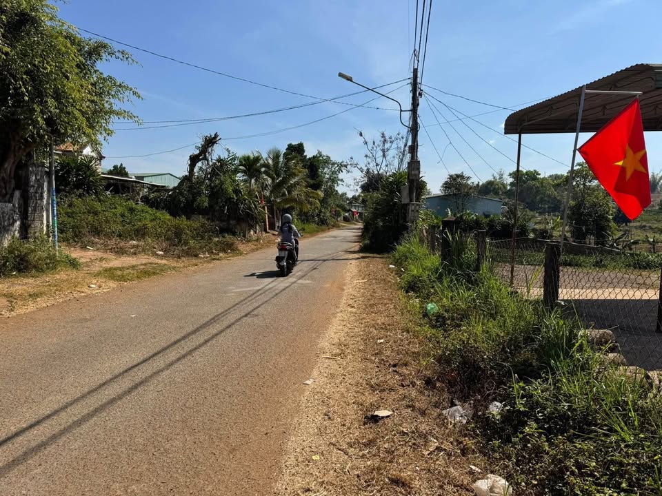 Đất mặt tiền Bùi Viện, An Phú 100m² giá 700 triệu - Cơ hội đầu tư hấp dẫn!