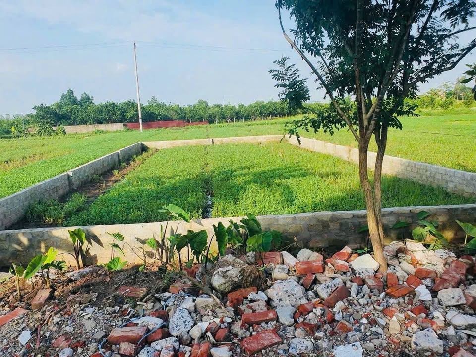 Đất nền biệt thự Phú Thọ Kim Động 200m² giá chỉ hơn 1 triệu/m² - Cơ hội đầu tư sinh lời!