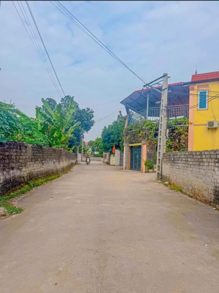 Đất thổ cư 106m² tại Vĩnh Thịnh - Tân Hưng - Nở hậu, giá tốt cho đầu tư!