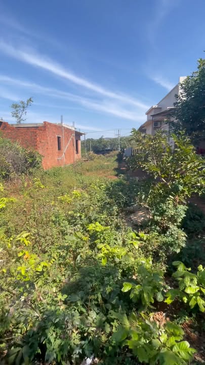 Đất nền mặt tiền Quốc lộ 14, xã Ia Hla, 2310m² giá chỉ 1.8 tỷ - Cơ hội đầu tư hấp dẫn!