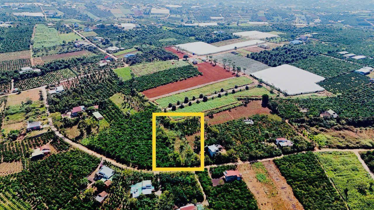 Đất thổ cư Nam Ban Lâm Hà 671m² giá 1.1 tỷ - Cơ hội đầu tư tuyệt vời!