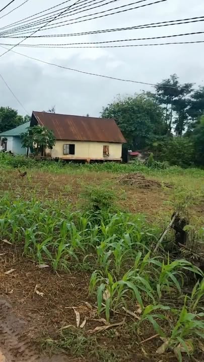 Đất nền 1512m² tại xã Ea Drông, Buôn Hồ - Giá tốt chỉ từ 30 triệu/m²!