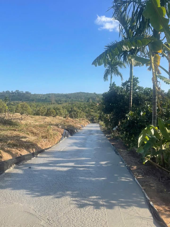 Đất nền Phú Lộc Krông Năng 156m² giá chỉ 200 triệu - Cơ hội đầu tư không thể bỏ lỡ!