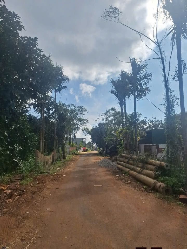 Đất nền kinh doanh Đường Ngô Quyền, Thị trấn Ea Kar 110m² giá chỉ 2.2 tỷ - Cơ hội đầu tư hấp dẫn!