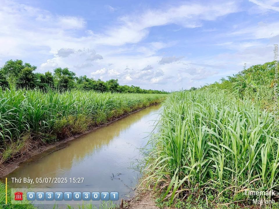 Đất vườn 11.000m² xã Hiệp Hưng, giá chỉ 1.265 tỷ - Cơ hội đầu tư hấp dẫn!