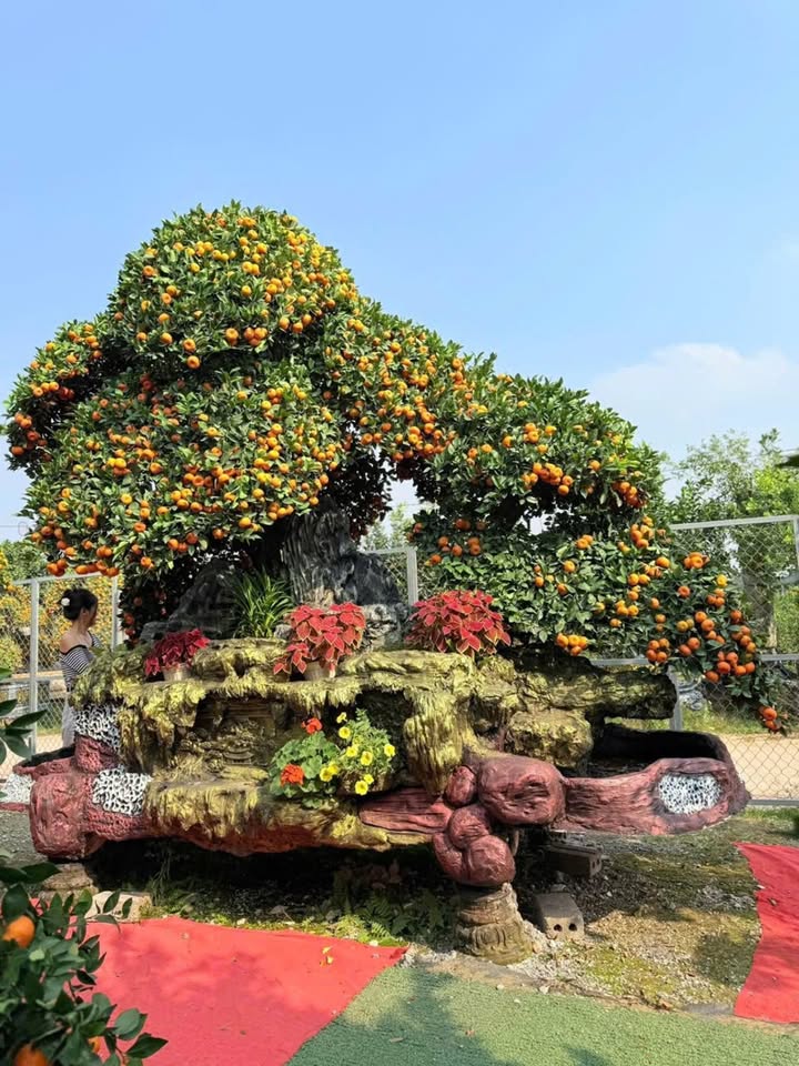 Đất nền Phong Hải, Quảng Yên 150m² - Cơ hội đầu tư sinh lời cao!