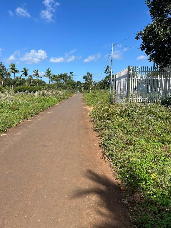 Đất nền phường Tân Lập 125m² giá 1 tỷ 250 triệu - Tặng nhà cấp 4!