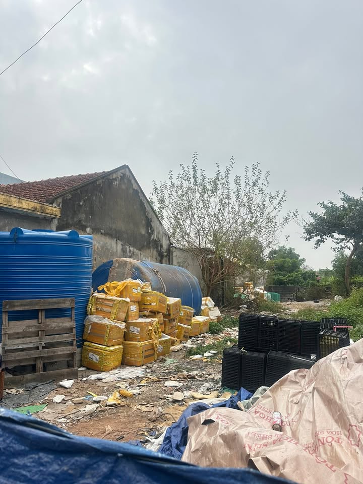 Đất nền Phường Yên Giang, Quảng Yên 188,8m² - Vị trí đẹp, giá tốt!