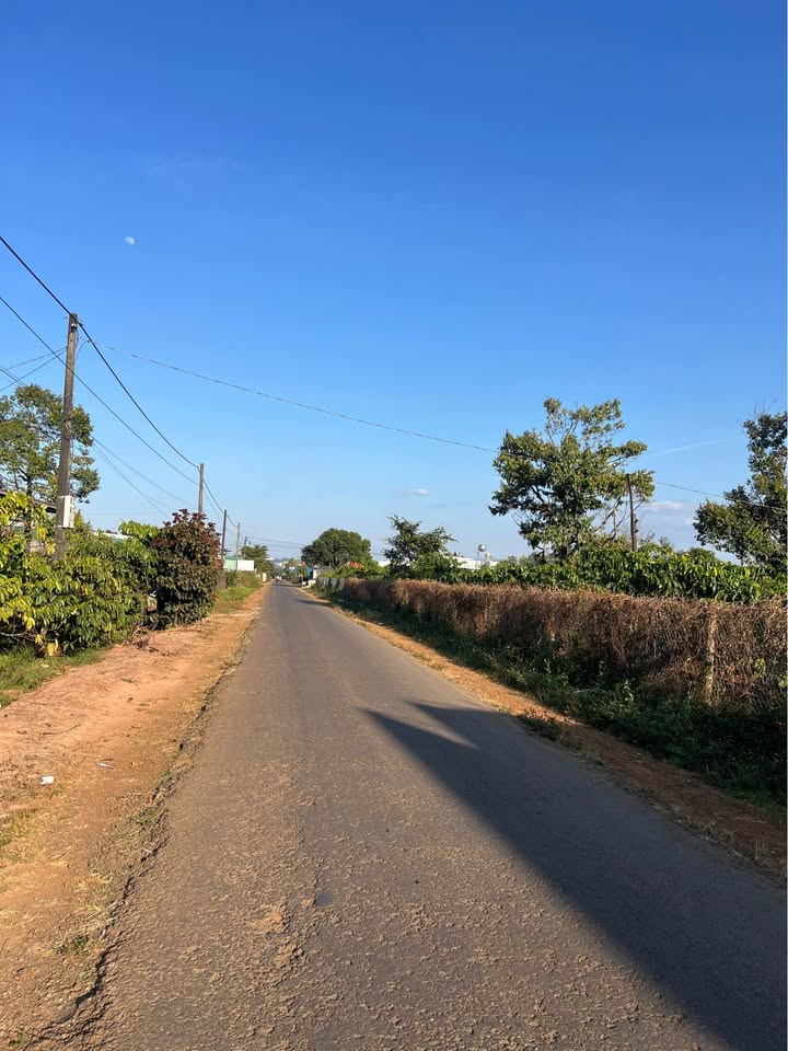 Đất hẻm Nguyễn Kiệm Gò Vấp 525m² - Giá tốt, vị trí thuận lợi!