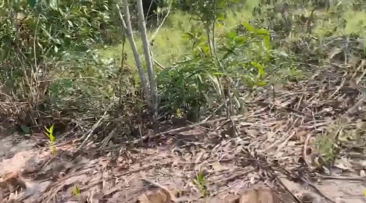 Đất nền 2 sào Tịnh Bình, Sơn Tịnh, 2000m² - Giá siêu rẻ 65 triệu!