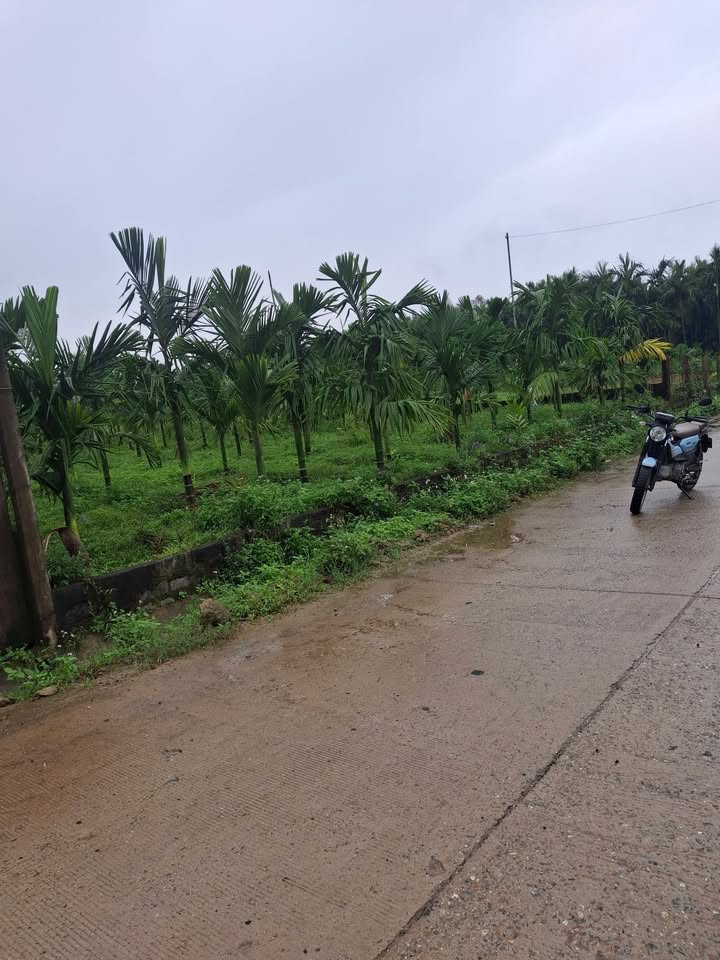 Đất vườn 2000m² tại xã An Định, Nghĩa Hành - Bán gấp chỉ 1,5 tỷ!