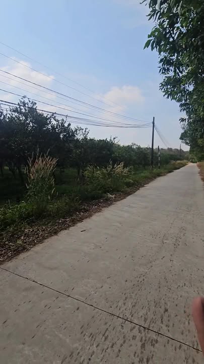 Đất nông nghiệp 2500m² tại đường Tân Lập 02, TP Tân Uyên - Giá 8,2 tỷ thương lượng!