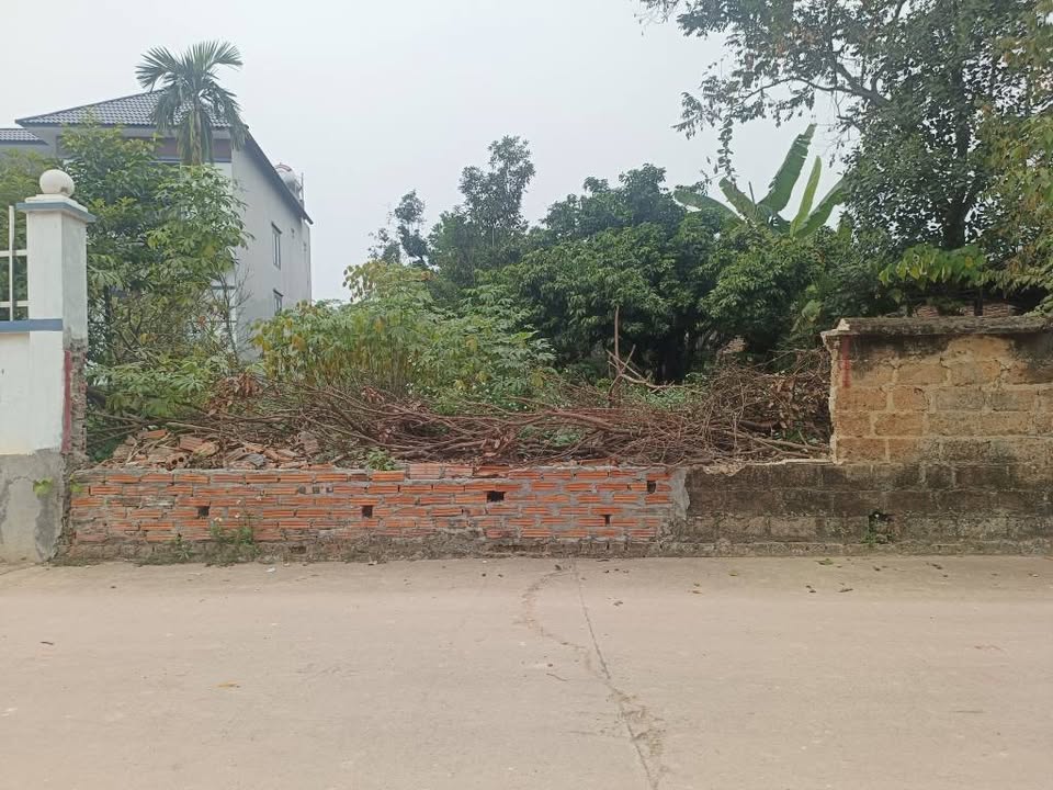 Đất nền Thị trấn Tam Đảo 124.2m² giá chỉ 600 triệu - Cơ hội đầu tư hiếm có!