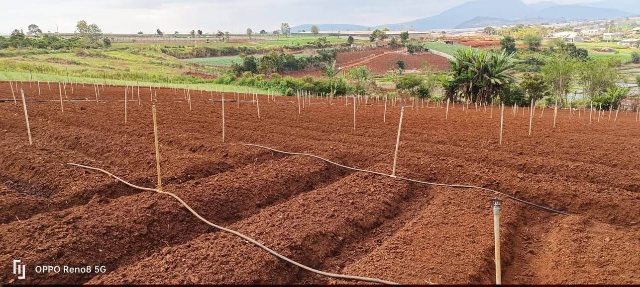 Đất nền mặt đường tại Đơn Dương, Lâm Đồng 1188m² giá 2.3 tỷ - Đầy đủ tiện ích!