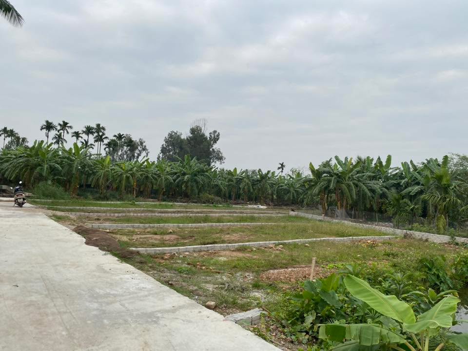 Đất nền Nho Lâm, Văn Tố, Tứ Kỳ 136m² - Sổ đỏ chính chủ, giá mềm!