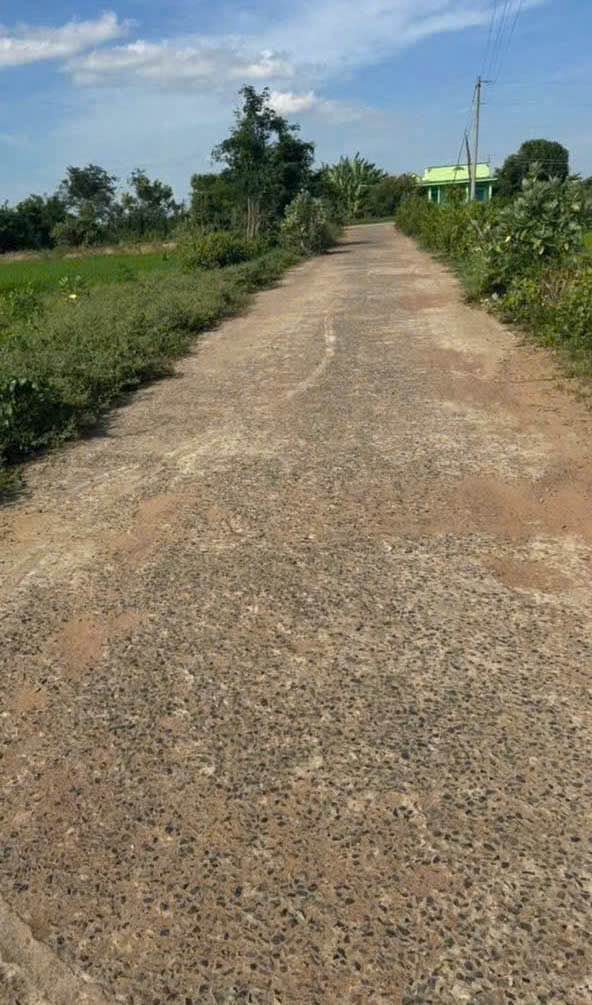 Đất thổ cư 1.400m² tại Huyện Bắc Bình, Bình Thuận - Giá tốt, sổ hồng chính chủ!