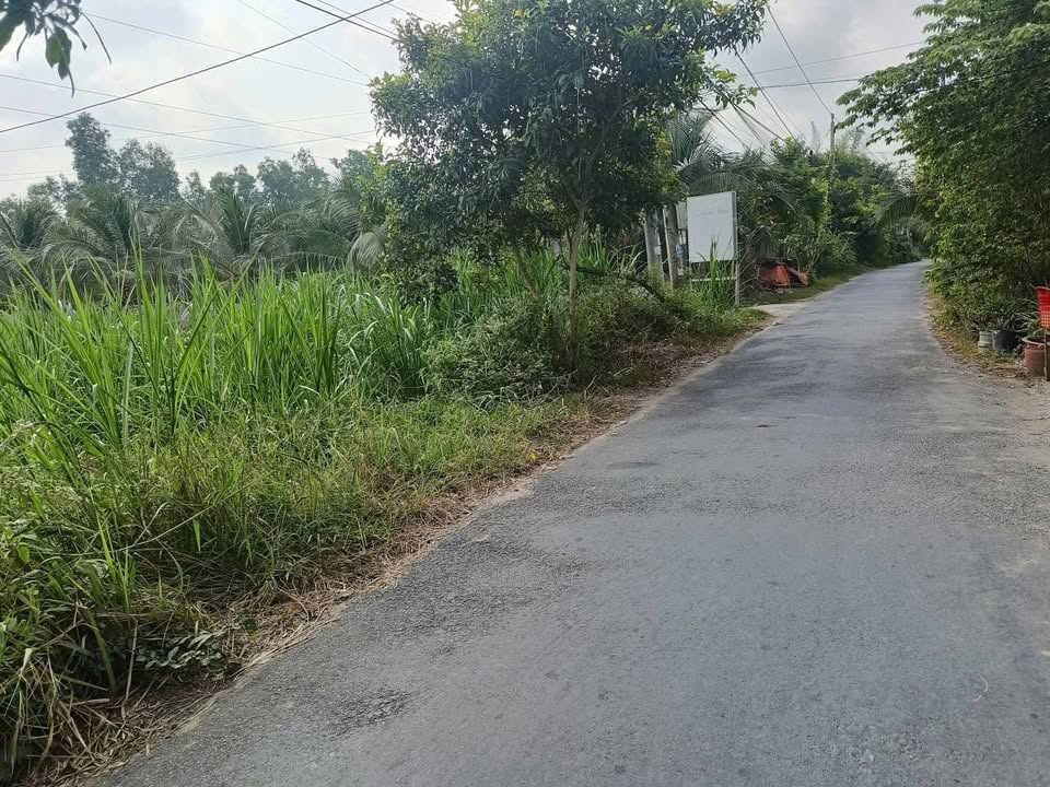 Đất nền mặt tiền đường Huỳnh Văn Nhiều, Tân Hương, 130m² chỉ 760 triệu - Pháp lý rõ ràng!