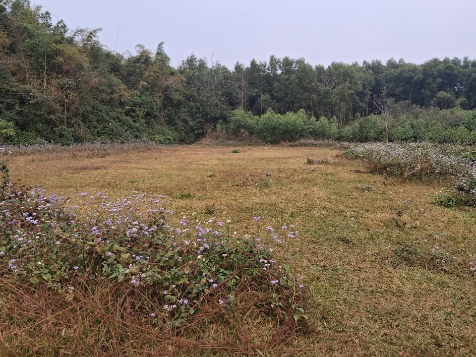 Đất nền Kim Phú, Phường Minh Xuân, 200m² chỉ 700 triệu - Sổ hồng chính chủ!