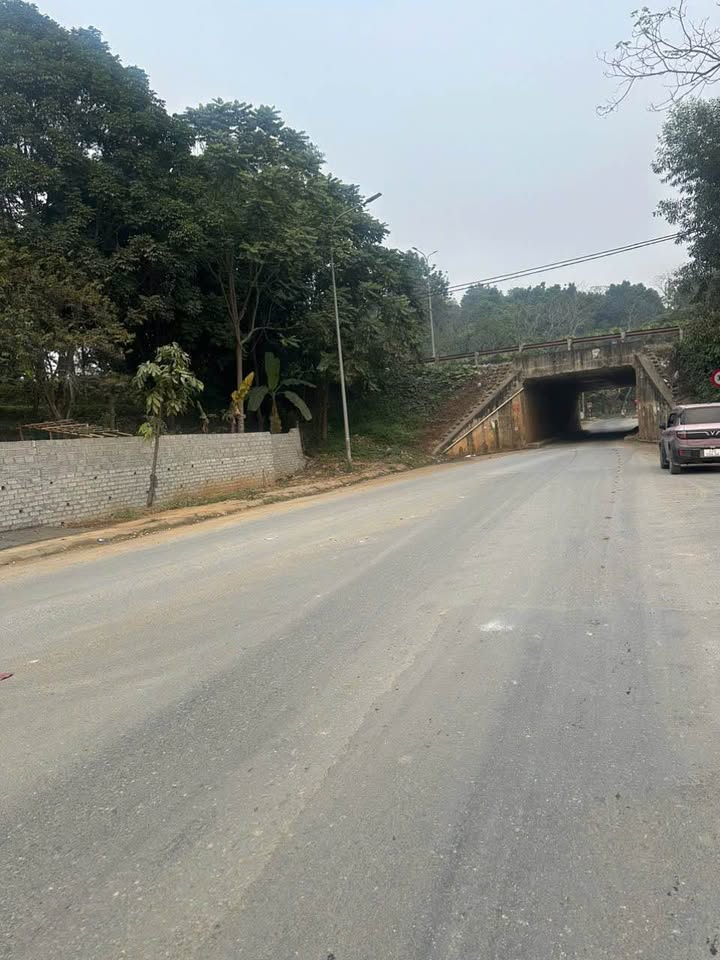 Đất nền Tổ 9 Kim Phú, 225m² giá 2 tỷ - Nằm gần trục đường QL 37!