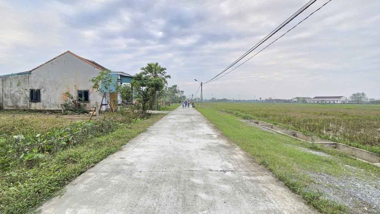 Đất Thổ Cư Thôn Tân Hòa, Thạch Tân, 210m² giá 2.3 tỷ - Đường rộng thông thoáng!