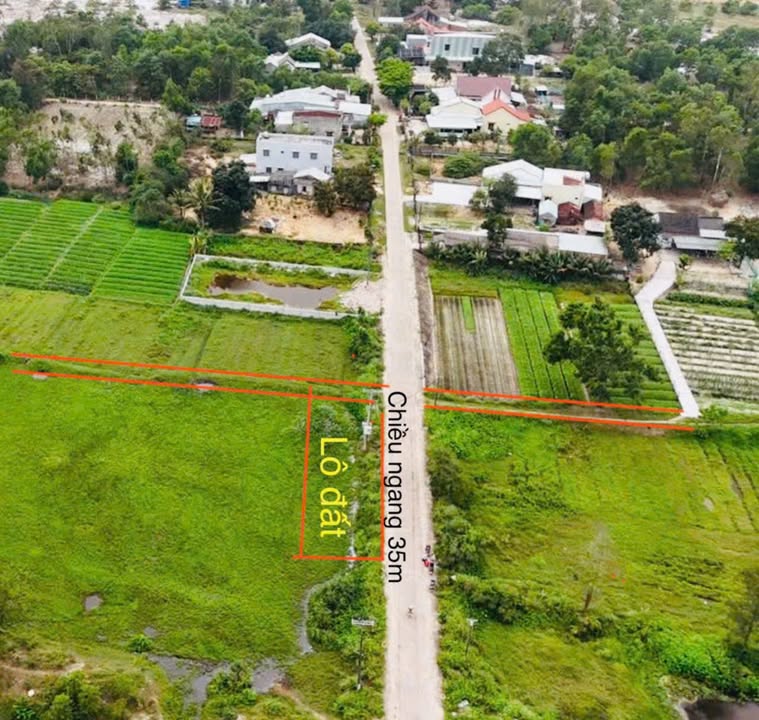 Đất trồng cây 431m² mặt tiền đường Thăng An - Giá chỉ 140 triệu VND