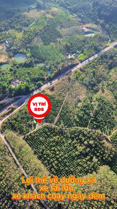 Farm đẹp 2ha tại Ea Ral, Đắk Lắk giá chỉ 4 tỷ - Sẵn sàng vào làm ngay!