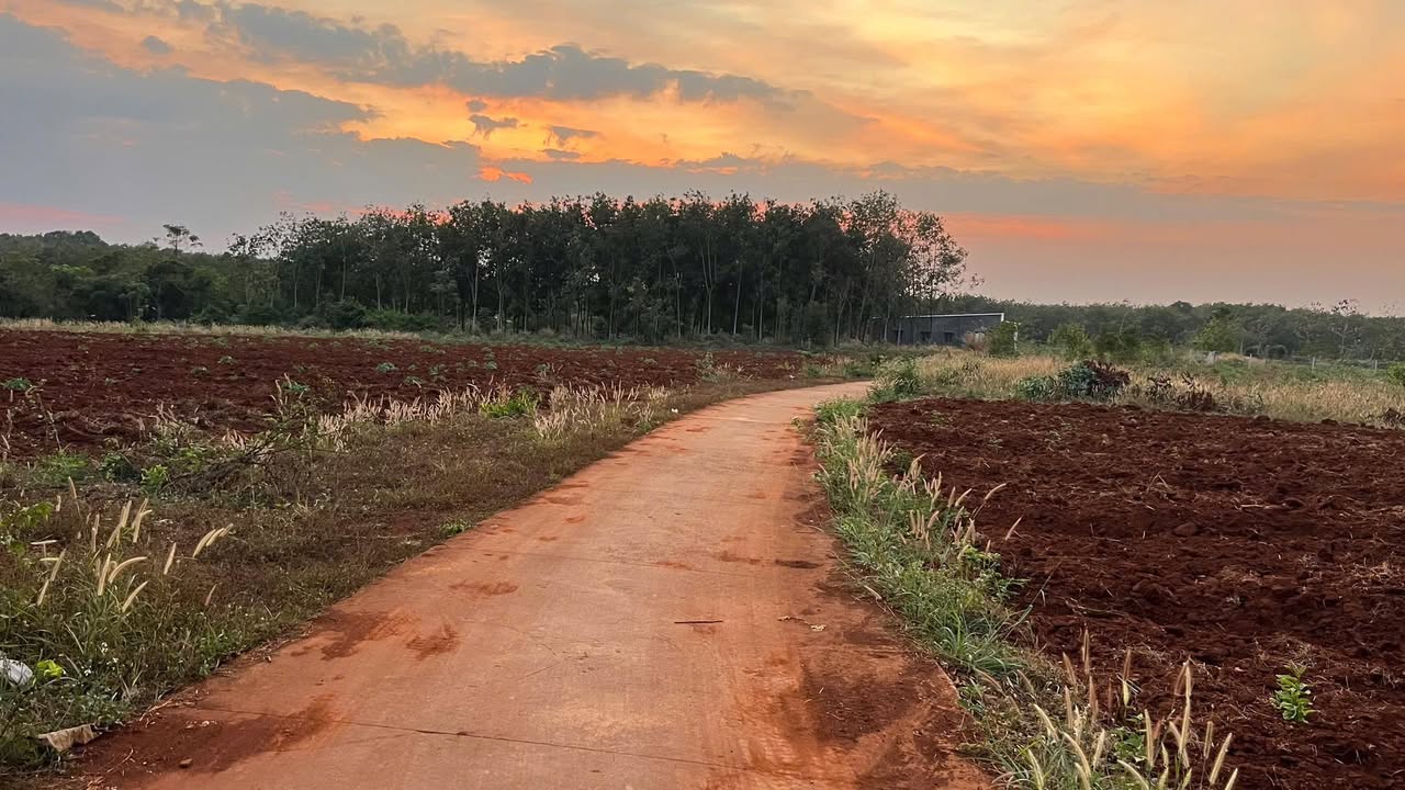 Đất nền Lộc Tấn 360m² giá thỏa thuận - Đất đỏ bazan, đầu tư sinh lời!