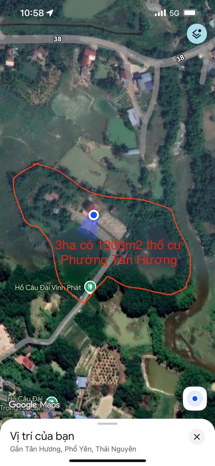 Đất thổ cư Phường Tiên Phong 1200m² giá 2x tỷ - Cơ hội đầu tư vàng!